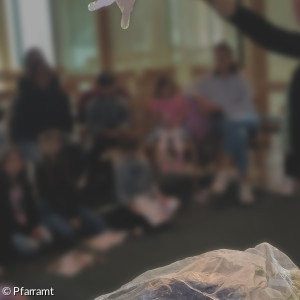 Quicklebendig_05