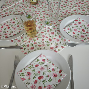 Grillfest Seniorenkreis_09